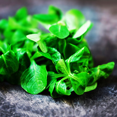 Fresh salad leaves over black background or table..