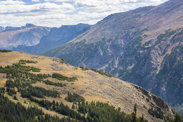 Aerial view of plains in the Rocky Mountains with scattered pine forests in Colorado