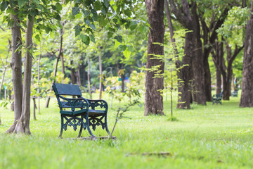 Empty old wooden bench in the city park.