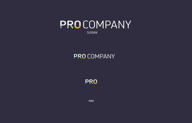 Pro colored flat logo