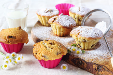 Fruitcakes and milk, summer composition