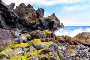 Fototapeta na wymiar Moss stone and ocean on Madeira island, Portugal