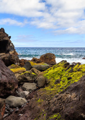 Fototapeta na wymiar Moss stone and ocean on Madeira island, Portugal