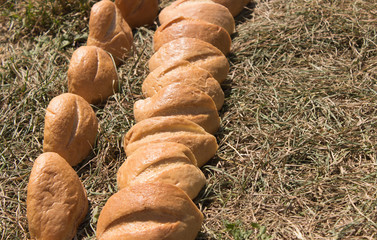 pieces of wheat bread loaves laid out on the dry grass along the parallel
