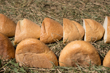 pieces of wheat bread loaves laid out on the dry grass across