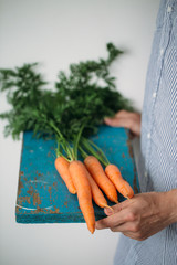 carrots in the hands of women