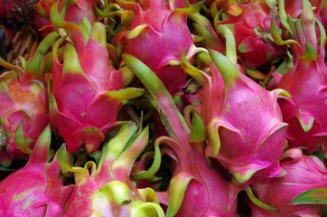 Dragon fruit pink and spongy background pattern