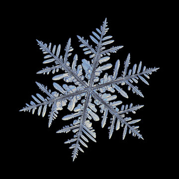 Snowflake isolated on black background: macro photo of real snow crystal, captured on glass with LED back light. This is large fernlike dendrite snowflake with complex structure and lots of details.