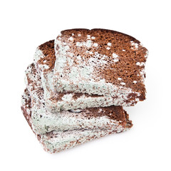 Old moldy bread