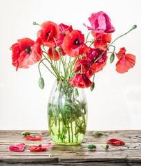 Bouquet of poppy flowers in the vase on the wooden table.