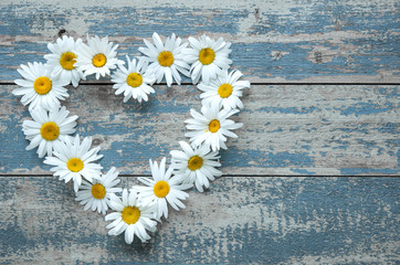 Obraz premium Daisy flowers on wooden background