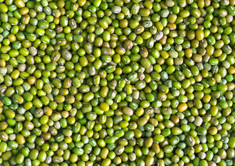 Green bean or mung bean background