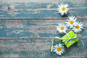 Obraz premium Daisy flowers on wooden background