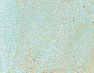 Crackles of paint on the old green wall.