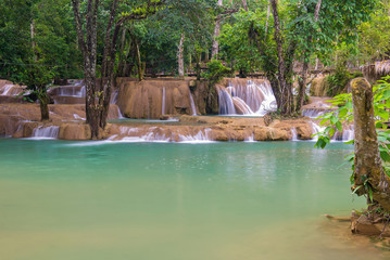 Naklejka premium Waterfall in rain forest (Tad Sae Waterfalls at Luang prabang, L