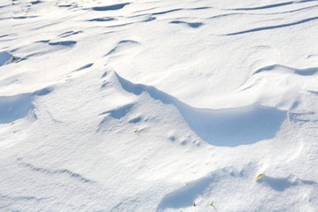 Neuschnee