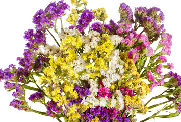 Fototapeta premium white background bouquet of colorful wildflowers