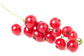 red currant isolated on a white background closeup