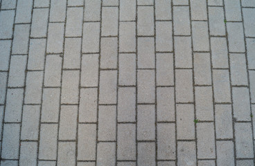 Sidewalk bricks