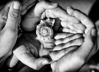 conchiglia tra le mani
