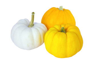Pumpkins isolated on white background
