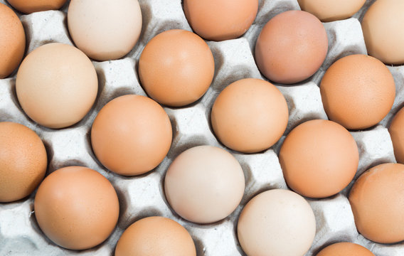 Eggs in paper tray on white,Brown eggs in an egg carton