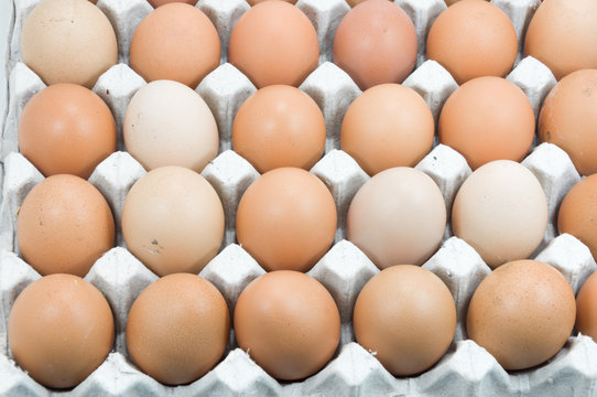 Eggs in paper tray on white,Brown eggs in an egg carton