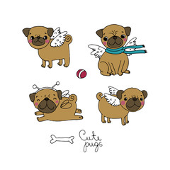 Cute little Pugs. Dogs.