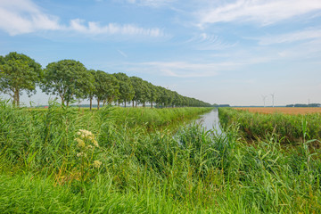 Fototapeta na wymiar Canal through a rural landscape in summer