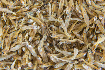 Dried Small fish anchovies used in Asian cuisine