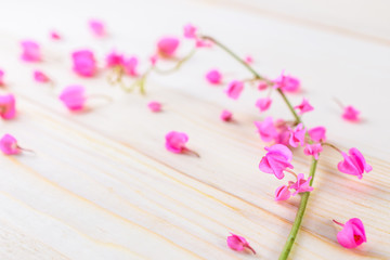 flowers on a plank