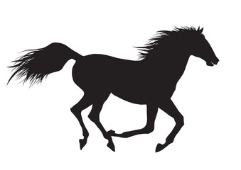 Obraz na płótnie Canvas Vector illustration of running black horse