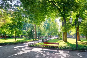 Fototapete Sommer Morgen im Stadtpark, helles Sonnenlicht und Schatten, Sommersaison, schöne Landschaft