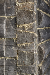 angle of log house