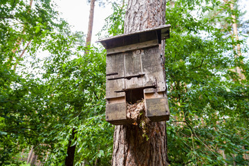 Vogelhäusschen am Baum