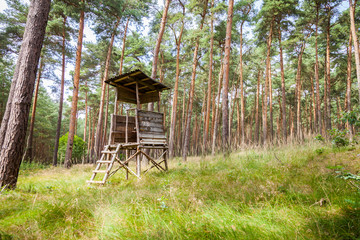 Hochsitz im Wald