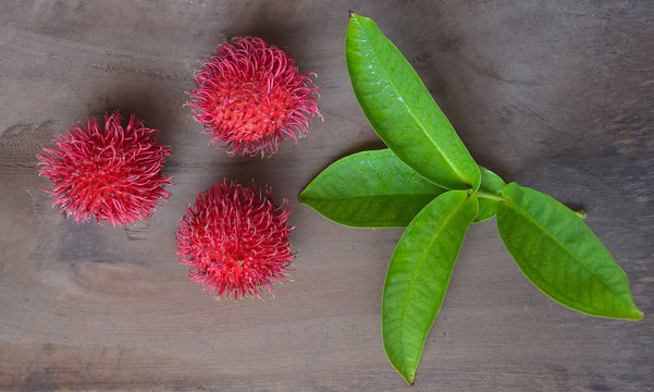 Rambutan Fruit. Rambutan Is Native To Malay Indonesian Region And Other Regions Of Tropical Southeast Asia