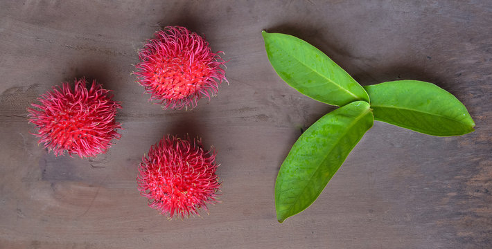 Rambutan Fruit. Rambutan Is Native To Malay Indonesian Region And Other Regions Of Tropical Southeast Asia