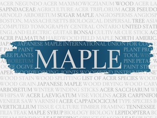 maple