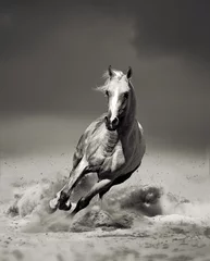 Tuinposter Arabisch paard dat in de woestijn rent © Olga Itina
