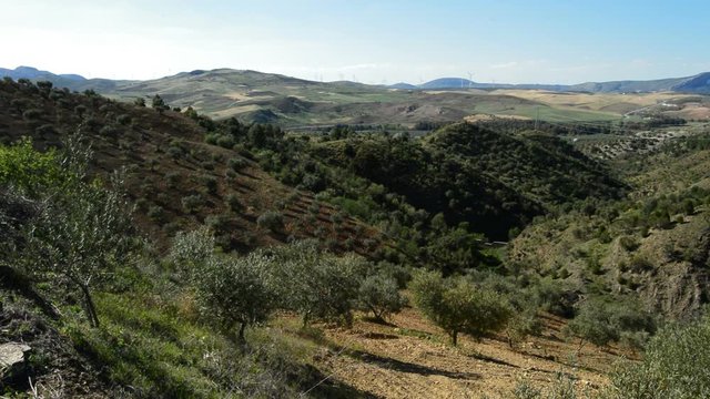 Mediterranean landscape with wind turbines renewable energy at horizon
