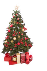 Obraz na płótnie Canvas Christmas Tree With Present Isolated on White