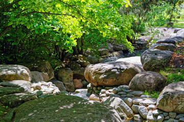 Scenic view of a beautiful creek in the springtime