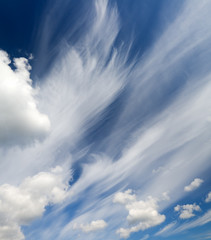 blue sky with white clouds