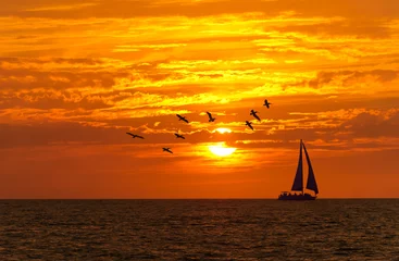 Wall murals Sailing Sunrise Sailboat Ocean Sailing Beautiful Birds Sail Boat Silhouette Sunset Scenic