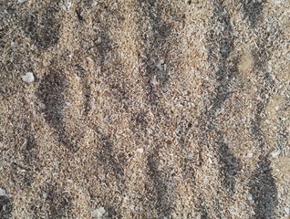 Mixed sand close-up texture with day light 