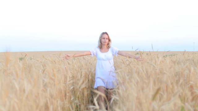 Woman walking and touching wheat spikes on wheat field