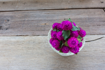 Globe amaranth beauty flower on wood background