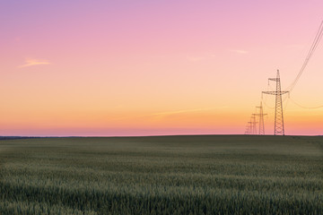 Power lines in wheat field over sunset
