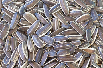 pile of sunflower seeds